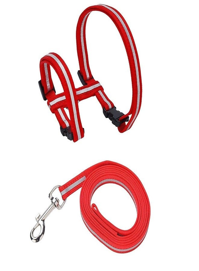 Pups&Pets طوق قطط عاكس قابل للتعديل من Pups&Pets مع حزام نايلون وحبل - لون أحمر - Image 2